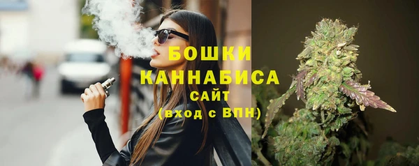 мдпв Елабуга
