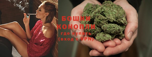 мдпв Елабуга