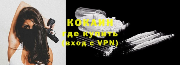 мдпв Елабуга