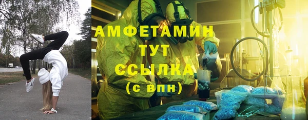 мдпв Елабуга