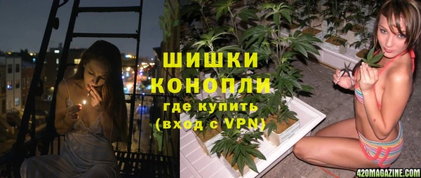 бошки Нея