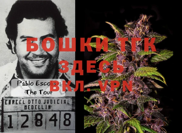 мдпв Елабуга