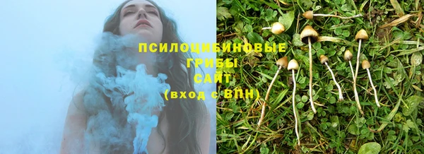 мдпв Елабуга