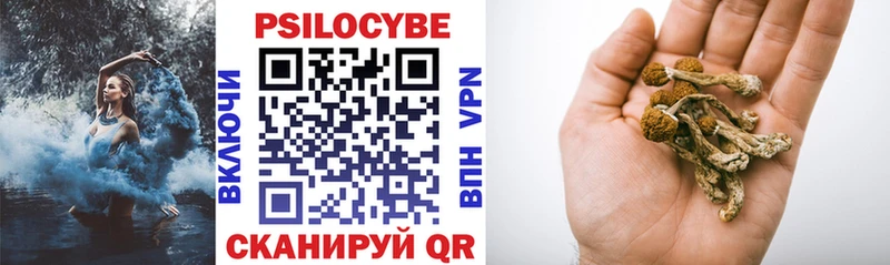 где купить наркоту  Кандалакша  Псилоцибиновые грибы мицелий 